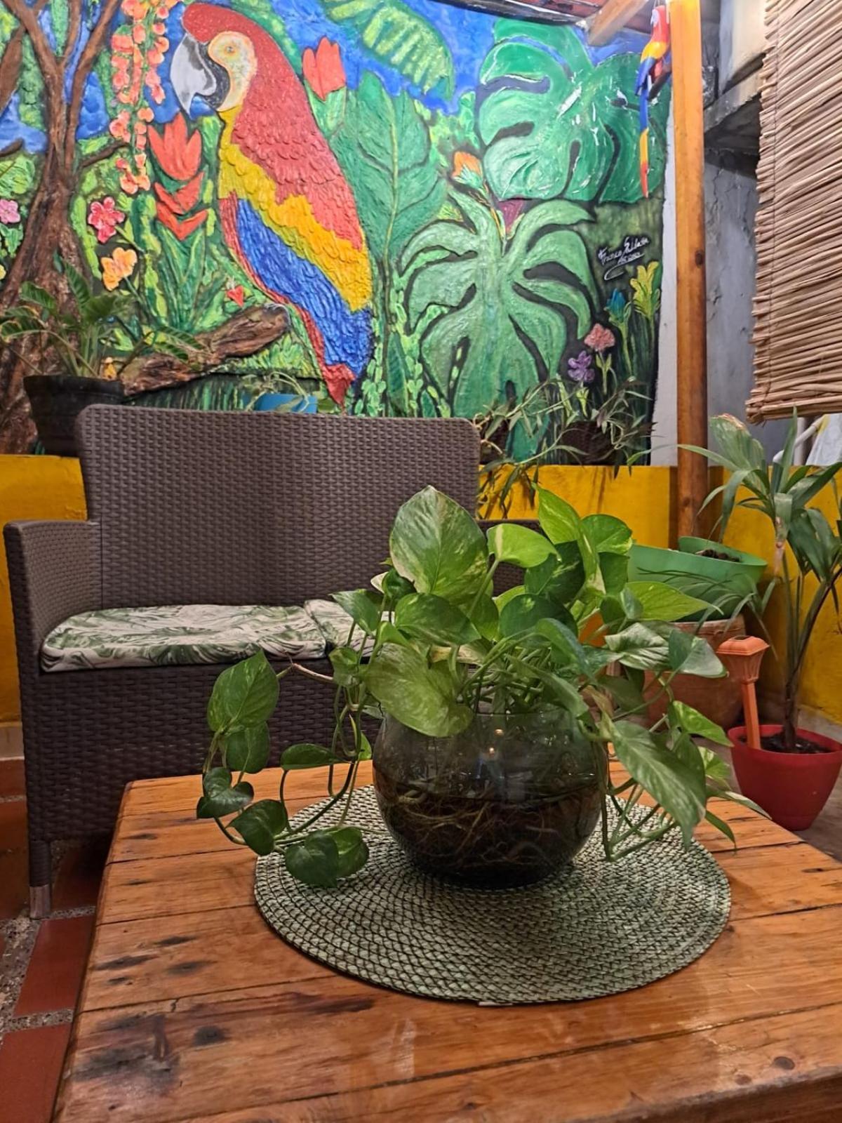 Hostel Shalom Adonai Cartagena Екстер'єр фото